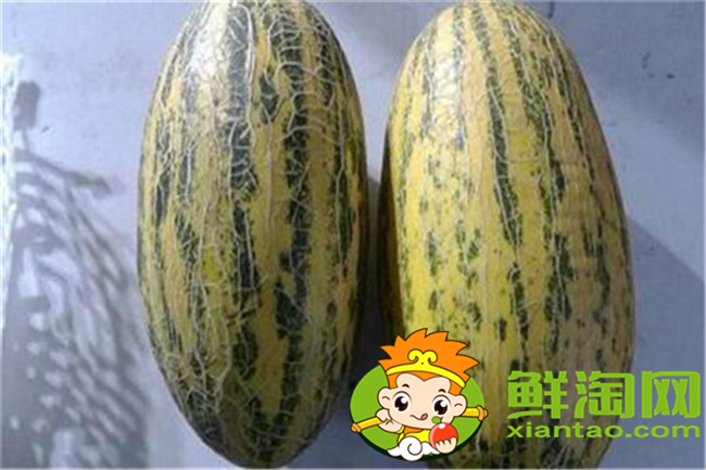 哈密瓜是什么和什么的杂交品种，什么品种的哈密瓜最好吃最甜