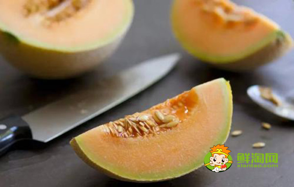 哈密瓜只有中国有吗,中国哪里可以种哈密瓜