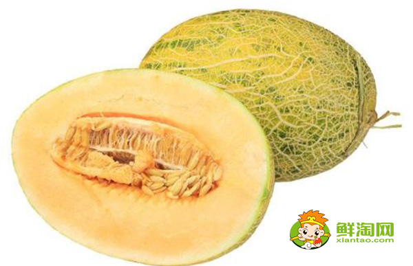 八六王哈密瓜什么季节吃,八六王哈密瓜是哪里的