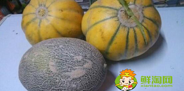 喀什伽师瓜几月份上市，伽师瓜和老汉瓜的区别