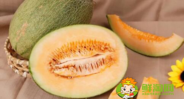 西州蜜瓜如何判断生熟,怎样辨别西州蜜瓜熟了