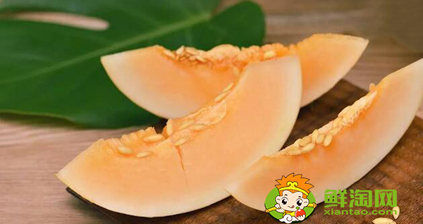 凤凰蜜瓜绿色的怎么选,蜜瓜里面为什么是绿色的