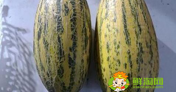 八六王哈密瓜好吃吗,最好吃的哈密瓜有哪些品种