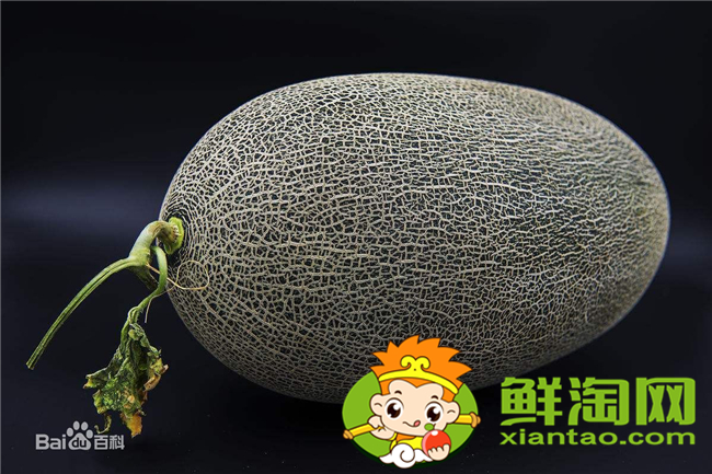 哈密瓜没水分不甜什么原因,长得像哈密瓜的叫什么
