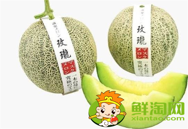 海南哈密瓜哪里种的多,海南哈密瓜品种大全