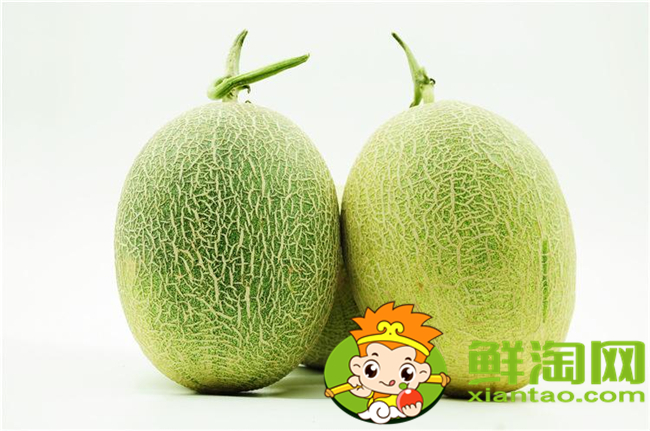 哈密瓜和网纹瓜是一个东西吗,哈密瓜和网纹瓜的区别