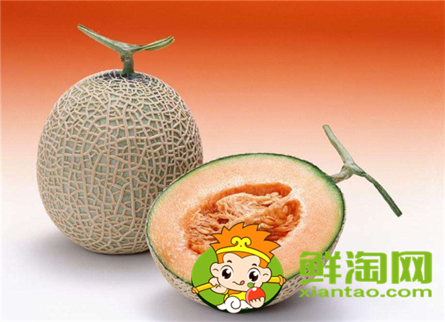 小哈密瓜和大哈密瓜哪个好,小哈密瓜和大哈密瓜的区别