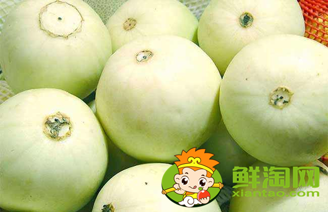 小哈密瓜和大哈密瓜哪个好,小哈密瓜和大哈密瓜的区别