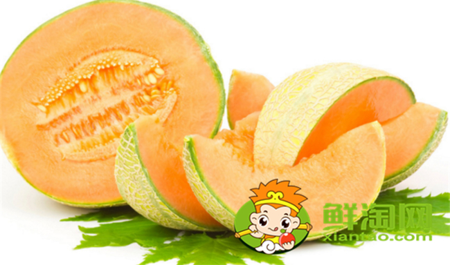 沙漠蜜瓜是哈密瓜吗,沙漠蜜瓜是热性还是凉性