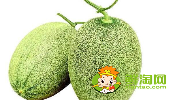 西州蜜瓜如何判断生熟,怎样辨别西州蜜瓜熟了