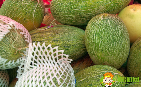 哪种蜜瓜里面的肉是绿色的,绿色哈密瓜怎么挑选