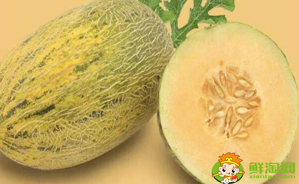 八六王哈密瓜名字的由来,八六王哈密瓜和沙漠蜜瓜哪个好吃