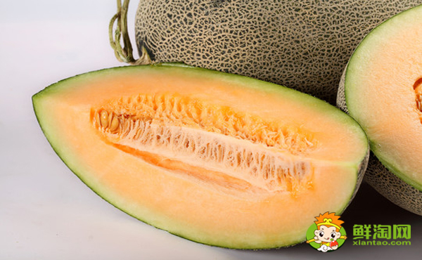 伽师瓜多少钱一斤,伽师瓜和哈密瓜哪个贵