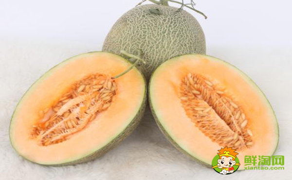 伽师瓜什么时候成熟,伽师瓜怎么挑选