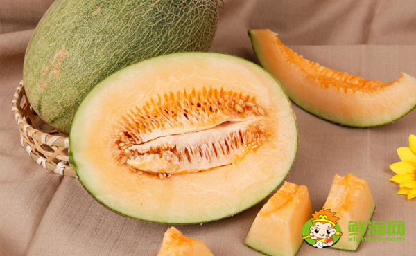 黄皮哈密瓜叫什么名字,黄皮哈密瓜和青皮哈密瓜区别