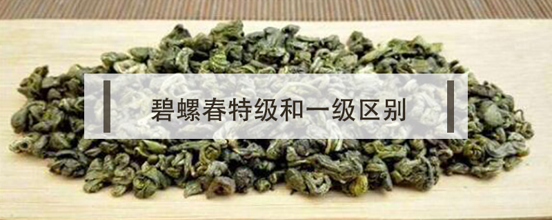 碧螺春特级和一级区别