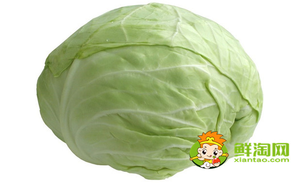 卷心菜和包菜有什么区别,怎样区别包菜和卷心菜