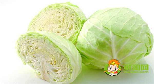 卷心菜做沙拉要焯水吗,日式卷心菜丝是生的吗