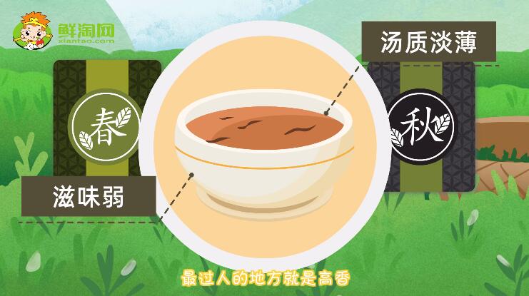 春茶和秋茶的口感区别
