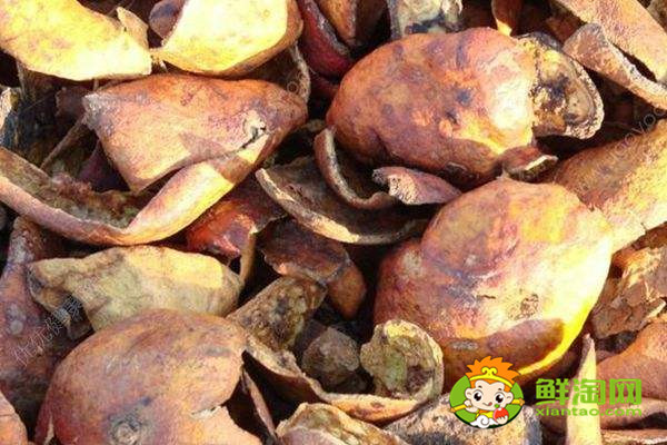 新鲜石榴皮煮水能治拉肚子吗,石榴皮煮水一天喝多少