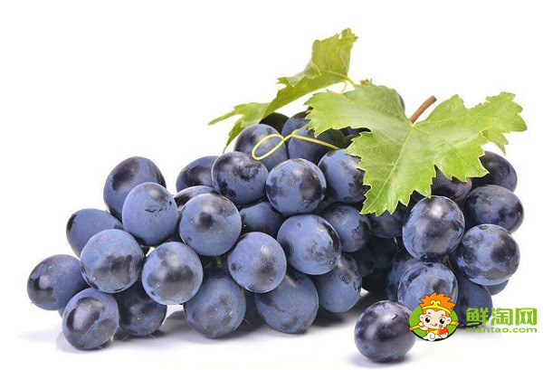 减肥的时候可以吃冬枣吗,冬枣和葡萄哪个热量高