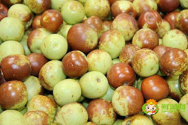 冬枣和红枣是同一种吗,红枣是冬枣晒出来的吗