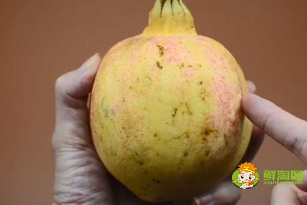 挑选什么样的石榴好吃,石榴挑选花开着还是闭上的好