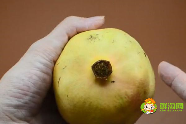 挑选什么样的石榴好吃,石榴挑选花开着还是闭上的好