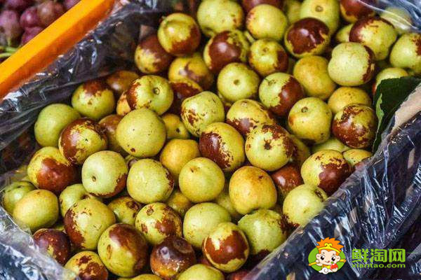 什么品种的冬枣好吃又高产?冬枣一代好吃还是二代好吃