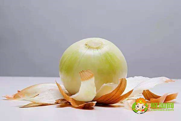 什么人不宜吃洋葱,小洋葱能生吃吗