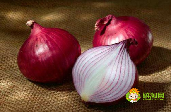 洋葱能不能吃剩的,洋葱发芽能吃吗
