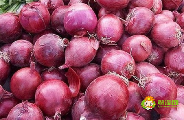 像很小很小的洋葱是什么,为什么有像洋葱的小洋葱