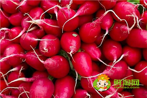 红萝卜要削皮吃吗,红萝卜炒的时候需要削皮吗