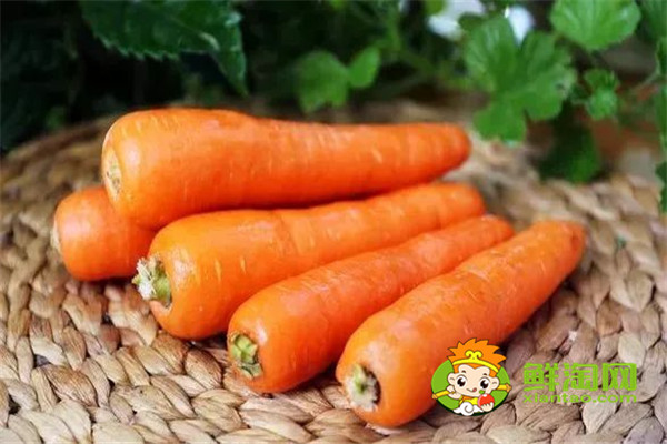 榨胡萝卜汁需要煮熟吗,胡萝卜一天吃一根行吗