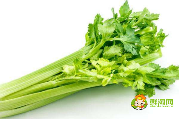 芹菜是什么季节的蔬菜，水芹是什么季节的菜