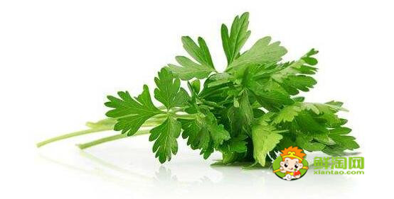 怎样清洗芹菜的农药残留,清洗芹菜时能用水煮一下吗