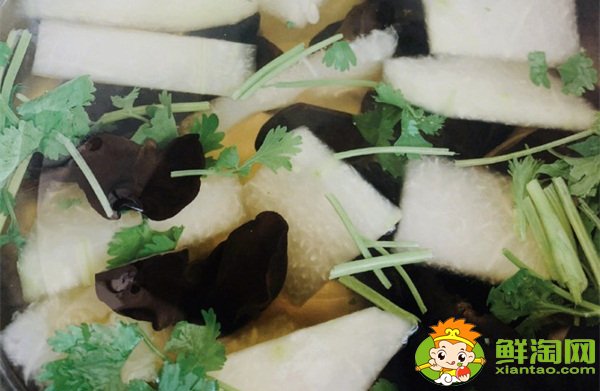 香菜怎么保存新鲜不烂,冬瓜木耳香菜汤可以减肥吗