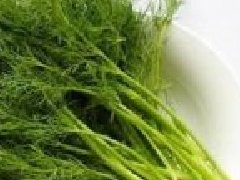 茴香菜长什么样,茴香有几种叫法