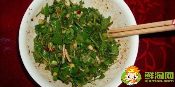 香菜的做法如何腌制,新鲜香菜怎么腌制咸菜