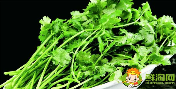 孕妇可以吃香菜吗对胎儿有影响吗,孕妇十大禁忌蔬菜