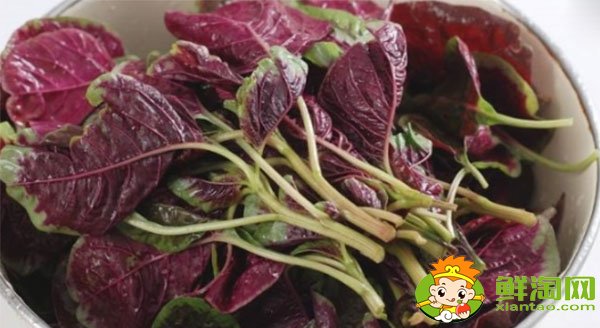 孕妇可以吃香菜吗对胎儿有影响吗,孕妇十大禁忌蔬菜