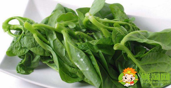 孕妇可以吃香菜吗对胎儿有影响吗,孕妇十大禁忌蔬菜