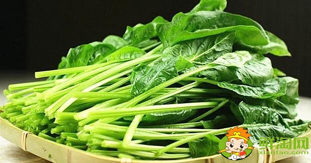 如何挑选菠菜,什么样的菠菜好吃
