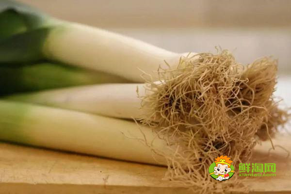 蜂蜜不能和什么一起吃,原来蜂蜜是不适合加到豆浆中饮用