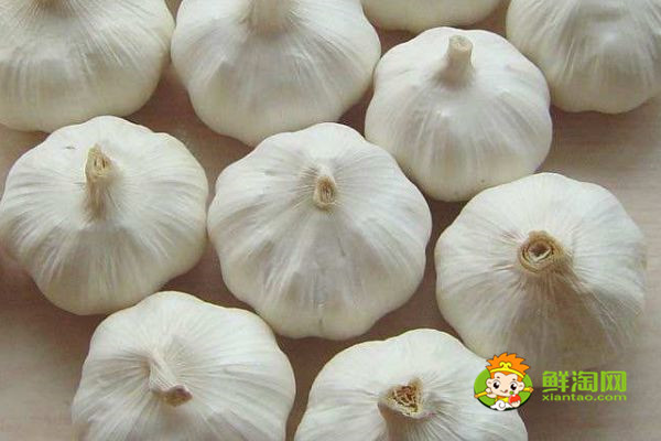 芒果不能和什么一起吃,芒果和什么一起吃好