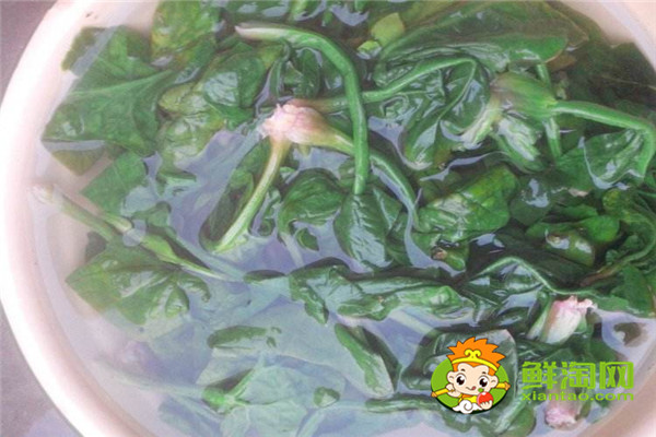 菠菜凉拌怎么好吃,菠菜凉拌要焯水多长时间才行