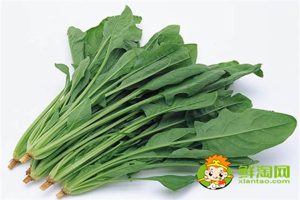 没有冰箱如何保存菠菜,新鲜菠菜洗完怎么保存