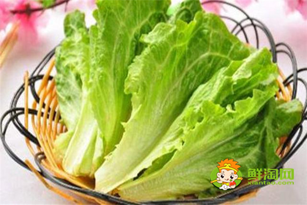 7种蔬菜更适合生吃,蔬菜生吃更有营养,厨房懒人必备