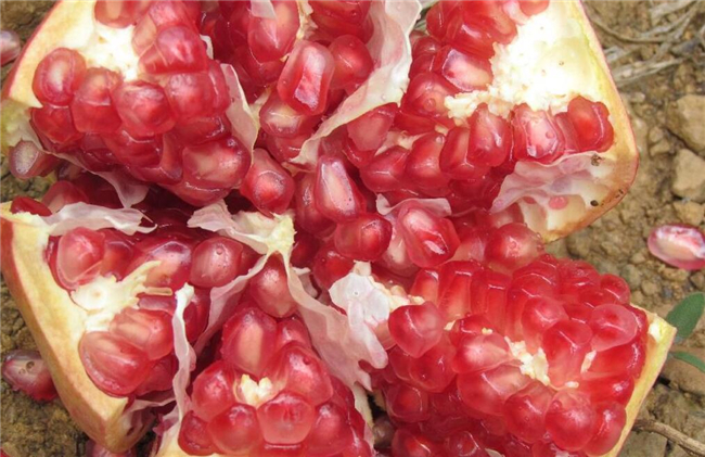 什么品种的石榴最甜最大,除了山西临潼石榴还有御贡的石榴