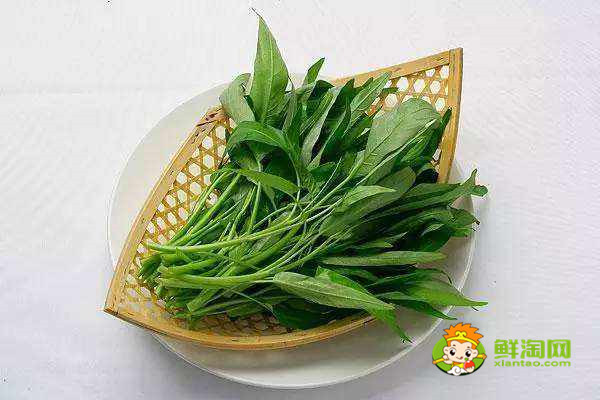 秋天为什么要少吃空心菜,这些人最好不要再吃空心菜啦!